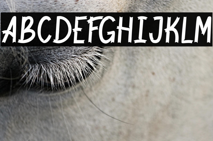 Jackal Regular Example 3