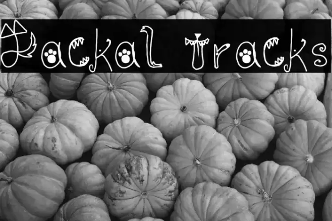 Jackal Tracks Font examples