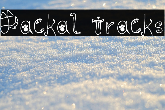 Jackal Tracks Example 3