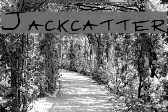 Jackcatter Font examples