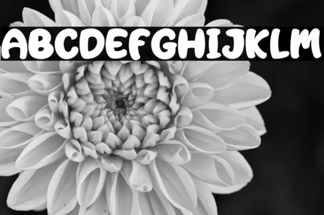 Jackdean خط examples