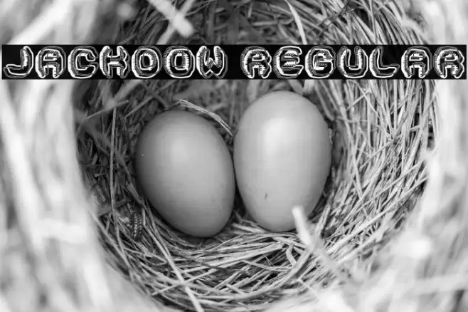 Jackdow Regular Font examples