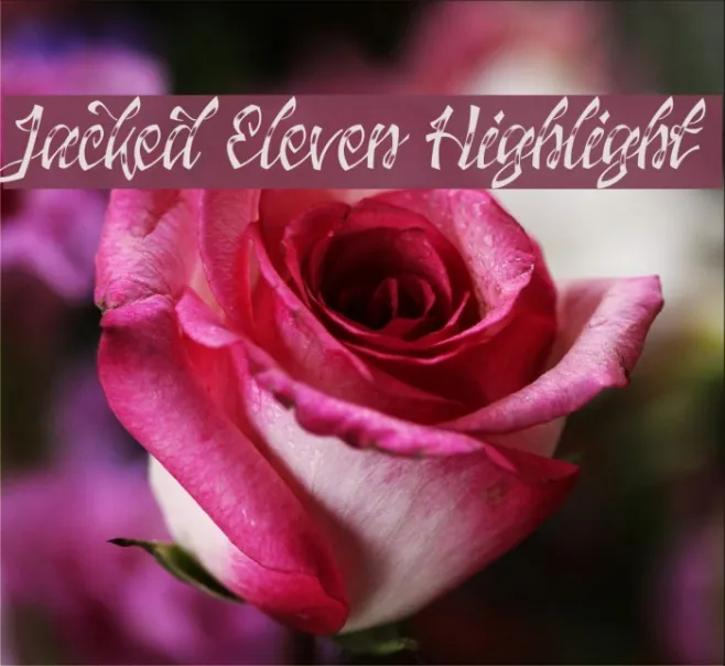 Jacked Eleven Highlight Example 1