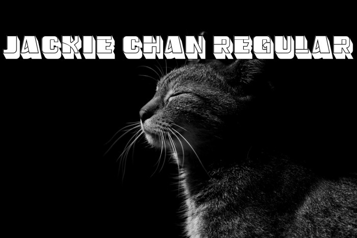 Jackie Chan Regular Example 3