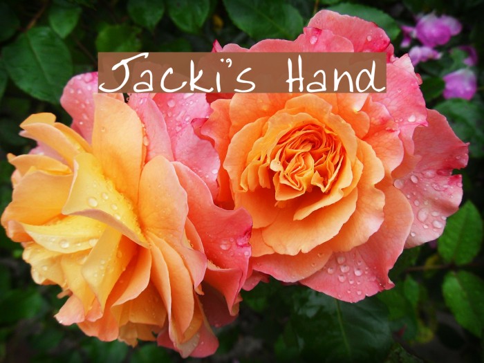 Jacki's Hand Font examples