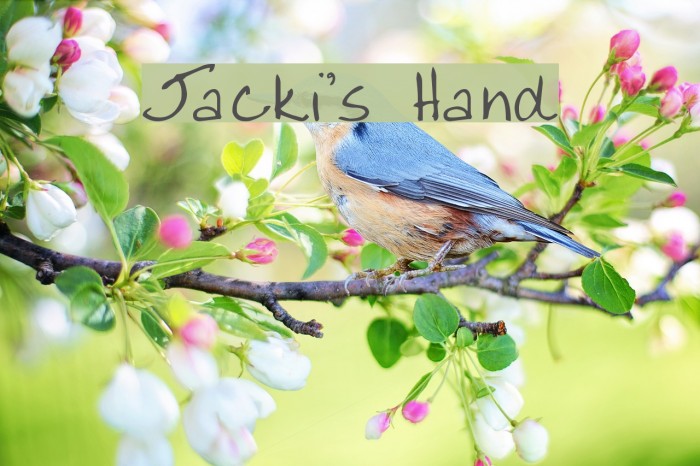 Jacki's Hand Font examples