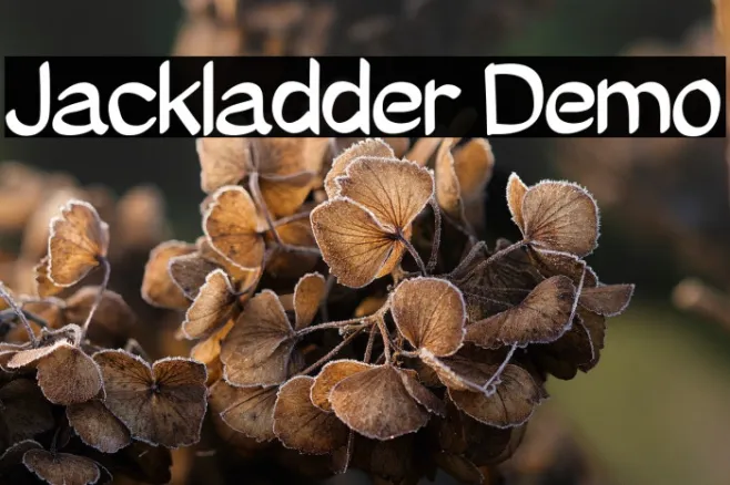 Jackladder Demo Example 1