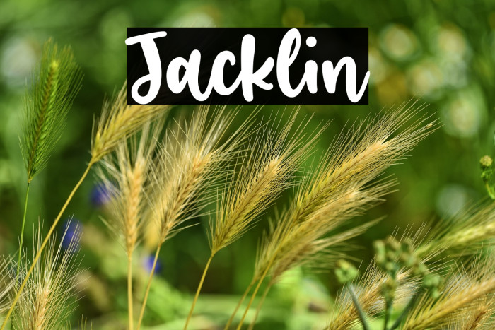 Jacklin Example 1