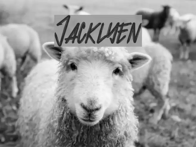 Jacklyen Font examples