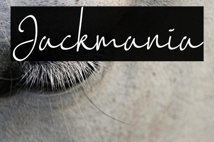 Jackmania Example 1