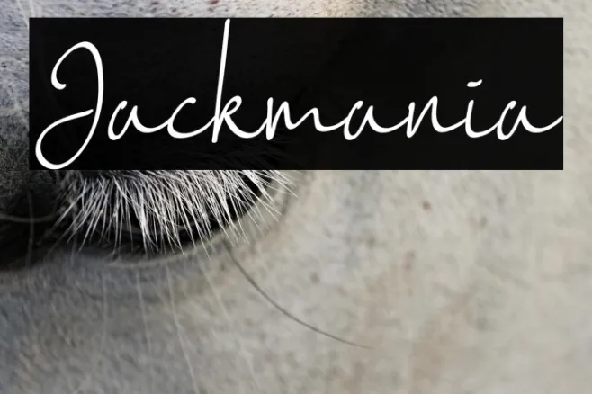 Jackmania Example 1