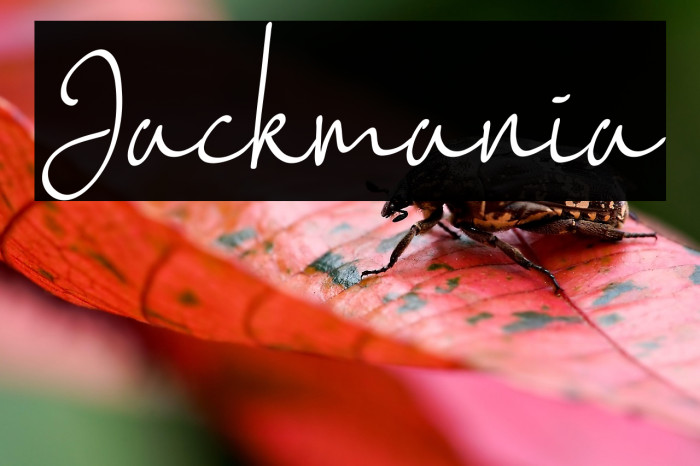 Jackmania Example 2