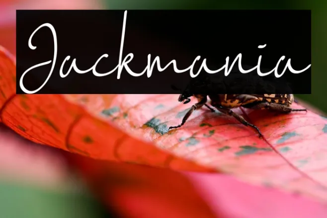 Jackmania Example 2