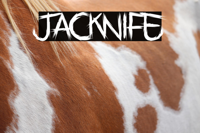Jacknife Example 1