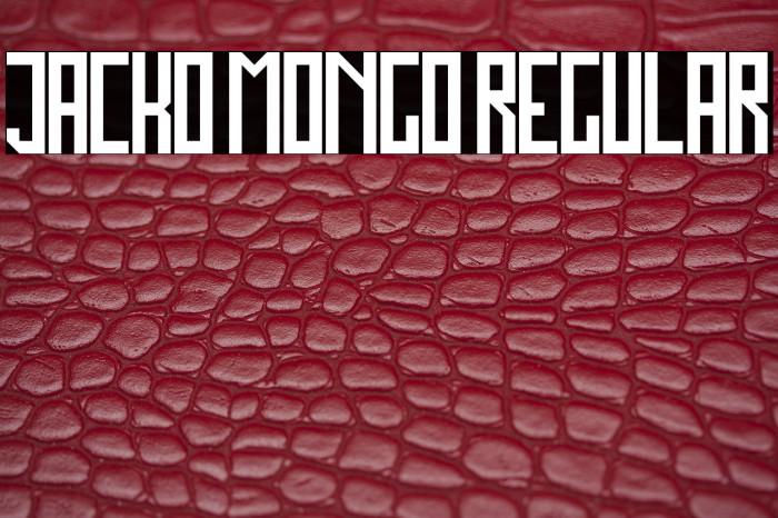 Jacko Mongo Regular Example 1