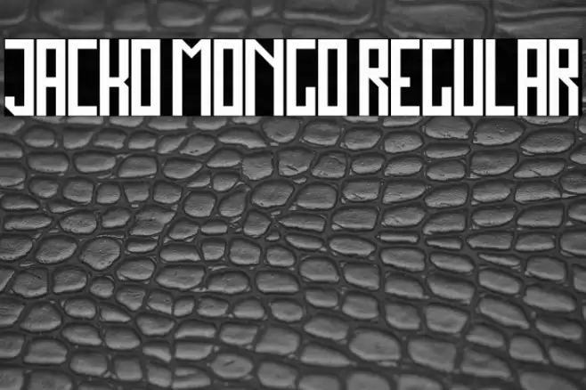 Jacko Mongo Regular Font examples