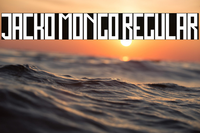 Jacko Mongo Regular Example 3