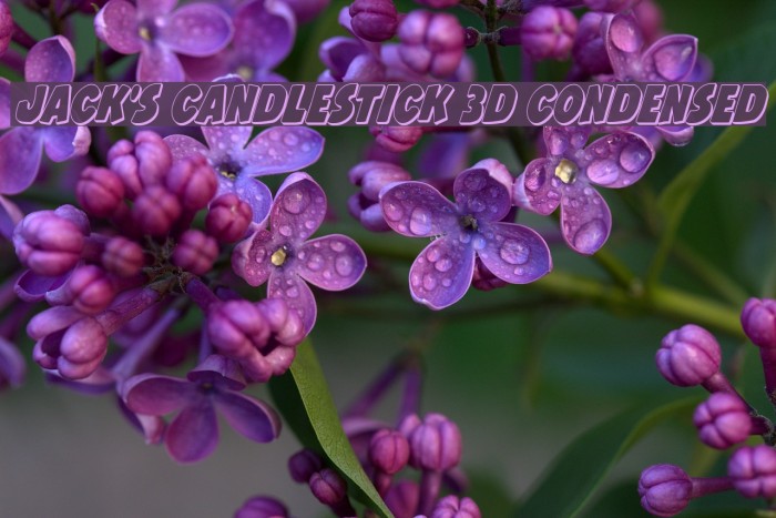 Jack's Candlestick 3D Condensed Font examples