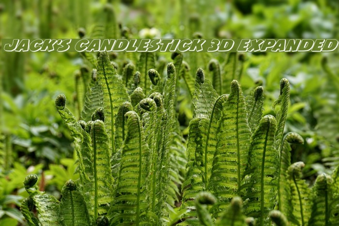 Jack's Candlestick 3D Expanded Font examples