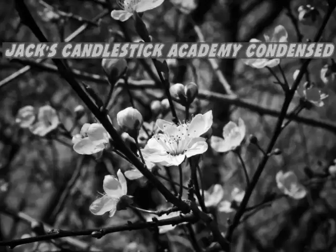 Jack's Candlestick Academy Condensed Font examples