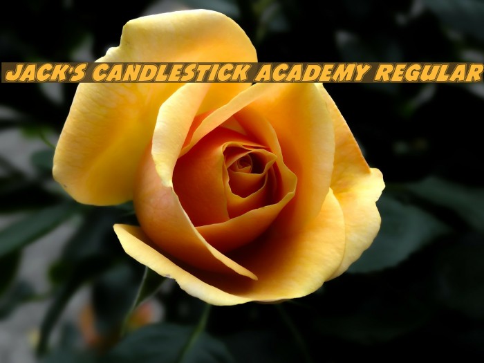 Jack's Candlestick Academy Regular Example 2