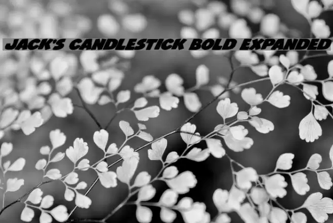 Jack's Candlestick Bold Expanded Font examples