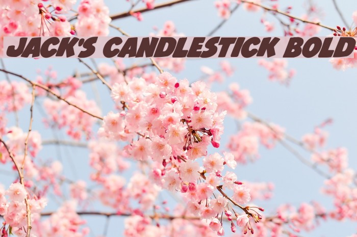Jack's Candlestick Bold Font examples