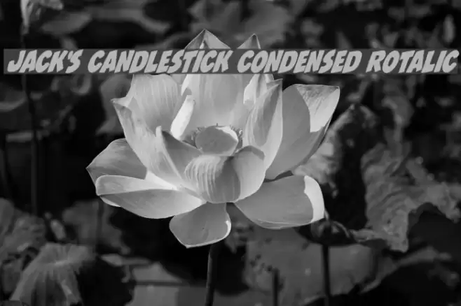 Jack's Candlestick Condensed Rotalic Font examples