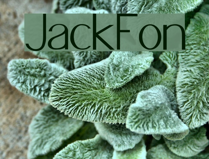 JacksFont Font examples