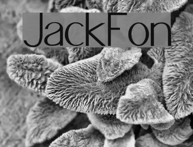 JacksFont Fuentes examples