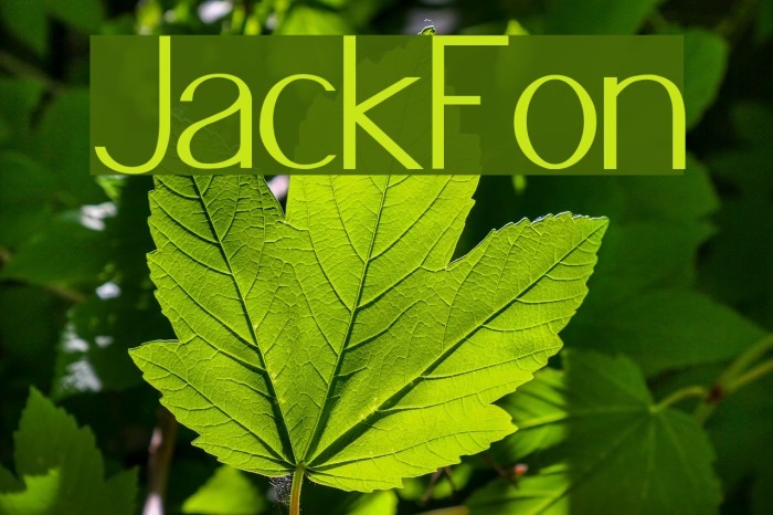 JacksFont Font examples