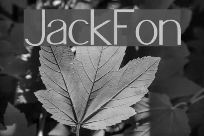 JacksFont Fuentes examples