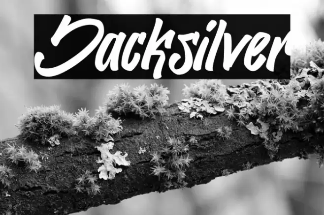 Jacksilver Font examples