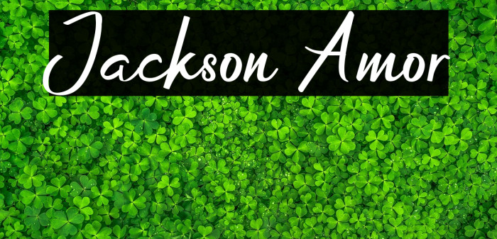 Jackson Amor Example 3