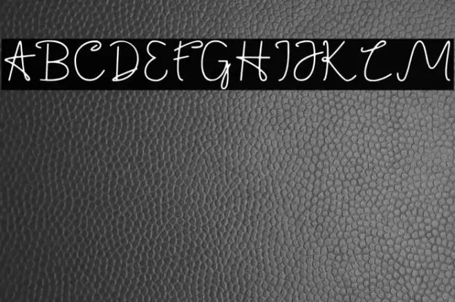 Jackson Font Font examples