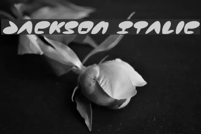 Jackson Italic Font examples