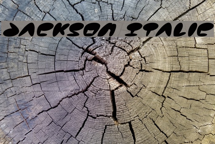 Jackson Italic Font examples