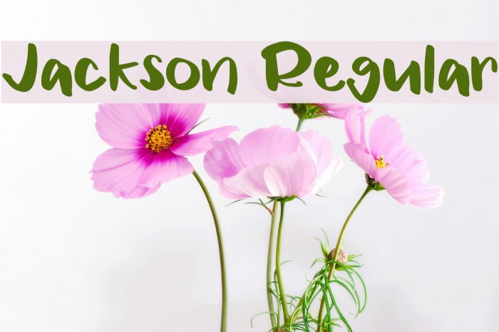 Jackson Regular Font examples