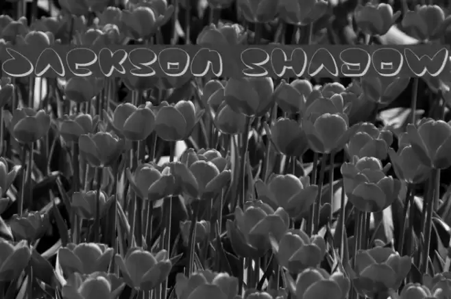 Jackson Shadow Font examples