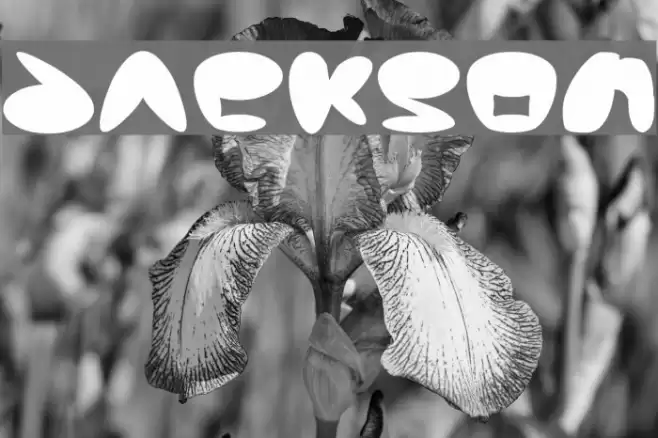 Jackson Font examples