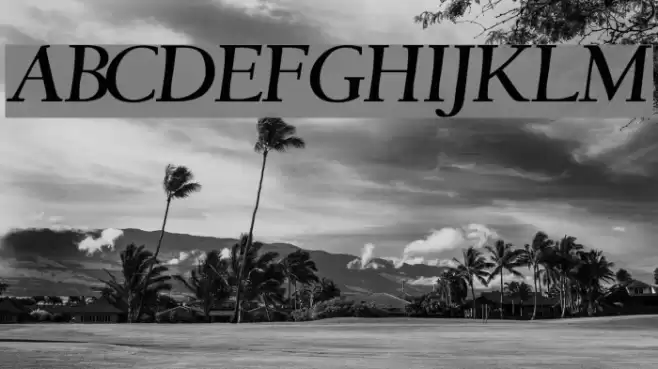 JacksonvilleOldStyle Font examples