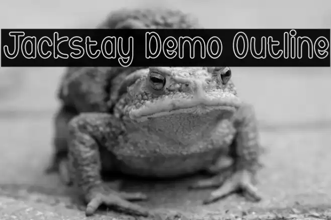 Jackstay Demo Outline خط examples