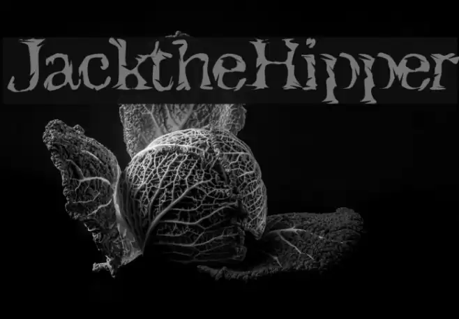 JacktheHipper Font examples