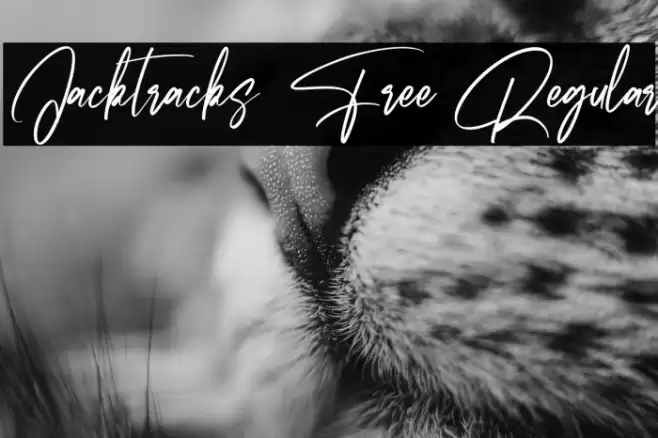 Jacktracks Free Regular Font examples