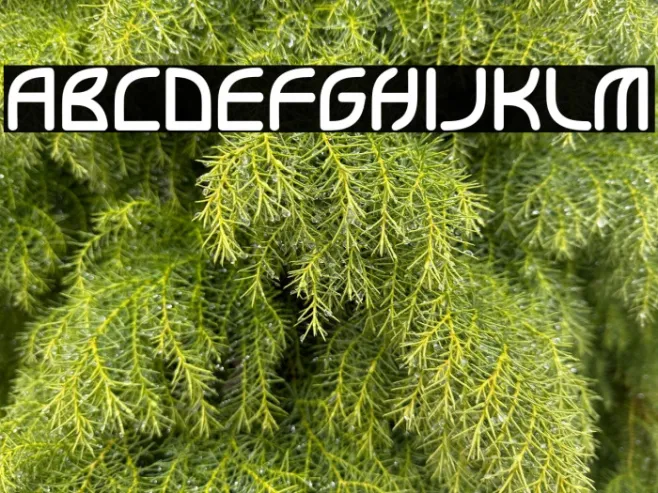 Jackwel Example 2
