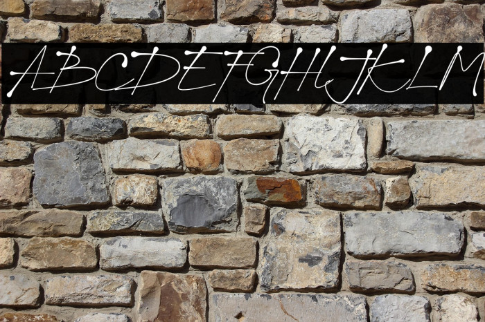 Jacky Black Trial Example 1