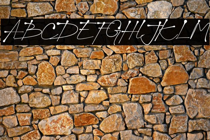 Jacky Black Trial Example 2