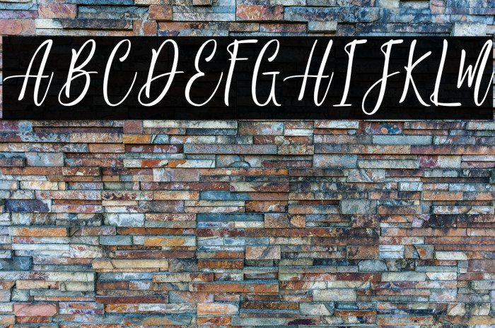 JackyShake-PersonalUse Example 2