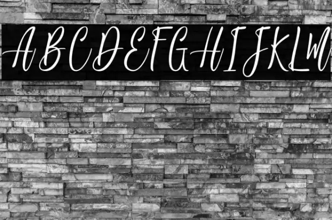 JackyShake-PersonalUse Font examples