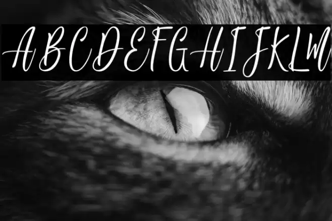 JackyShake-PersonalUse Font examples